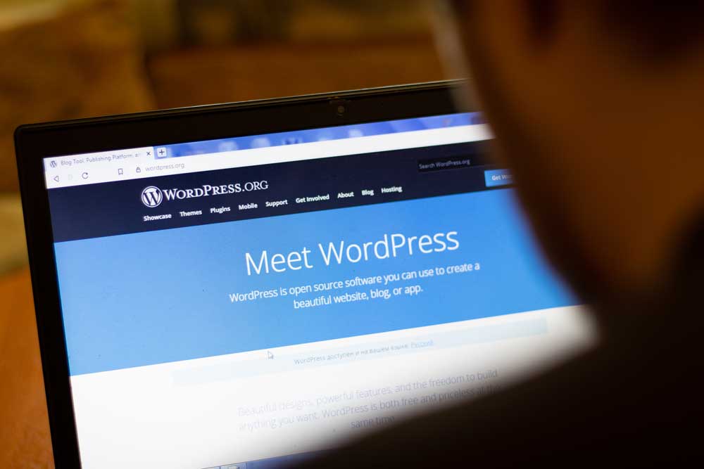 WordPress Service Expertise